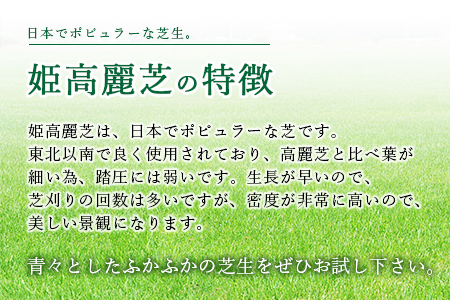 ＜姫高麗芝 2平方メートル＞※2か月以内に順次出荷【c591_hg_x2】