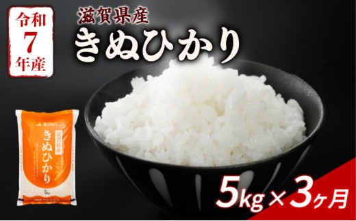 きぬひかり 5kg 3回定期便 令和7年産 定期便 米 精米 こめ コメ お米 ご飯 米 キヌヒカリ 米定期便 3か月定期便 3ヶ月定期便 3回 3ヶ月 3か月 滋賀 彦根