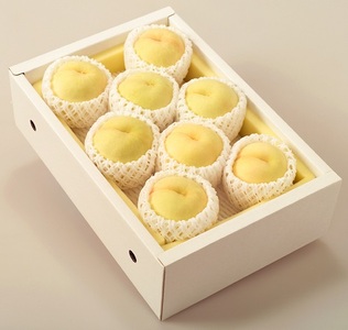 環-7【先行予約】岡山県産　岡山白桃8～10玉（約2.0kg）