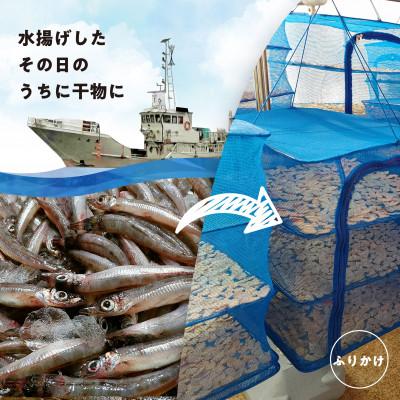 ふるさと納税 蒲郡市 形原漁港直送　深海ギョのふりかけ　三種セット _【G0483】 |  | 02