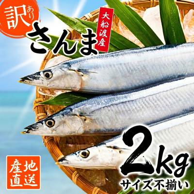 ふるさと納税 大船渡市 【9〜11月発送】訳あり 鮮さんま 2kg [maruwa19_3]