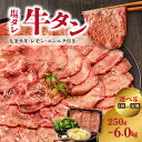 【ふるさと納税】【大盛九条ネギ】塩ダレ牛タン 選べる内容量（250g・500g・750g） 選べる定期便（500g×3回・6回・12回） 牛タン セット 七輪焼肉 肉屋 京都九条ネギ タン 小分け 冷凍 真空パック 焼肉 肉 薄切りスライス BBQ 京都 牛タンスライス 牛タン塩