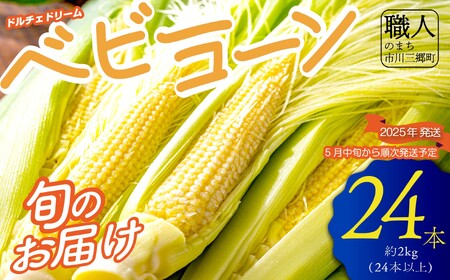 市川三郷町大塚産 ドルチェドリームのベビーコーン 2kg（24本以上）【2025年5月中旬から発送】Kai Sweet Farm[5839-2208]