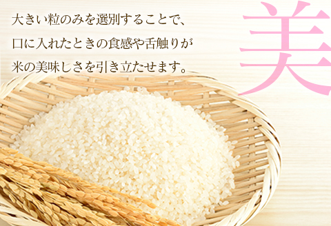 『定期便』6回 毎月お届け あきたこまち 精米 5kg 芸北高原米 銀の雫