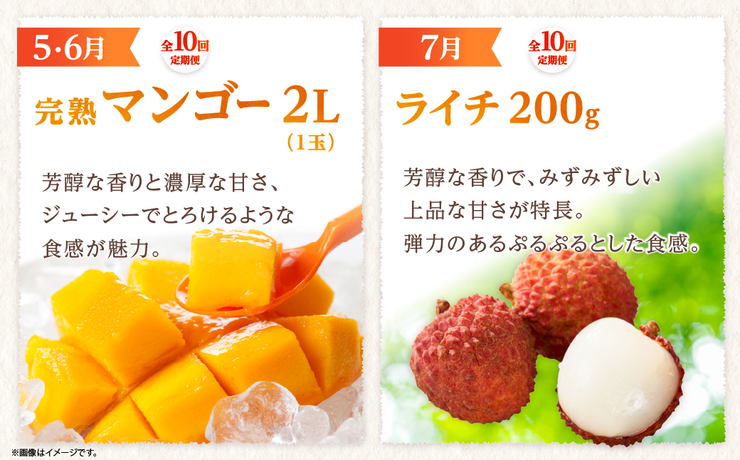 【全10回お届け】宮崎県綾町産 果物・野菜定期便 [X21]_A0113-0021