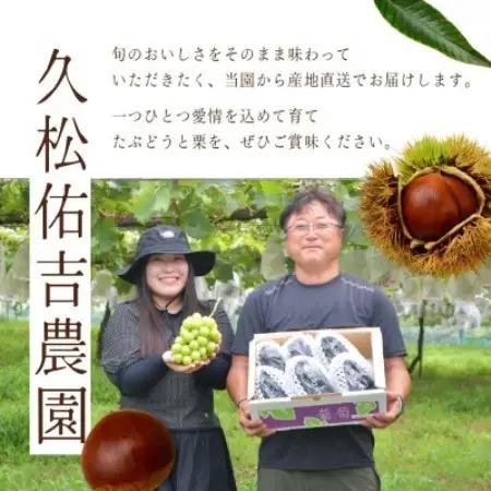 千代田の生栗 3kg 和栗 Lサイズ | 茨城県 かすみがうら市【1787735】