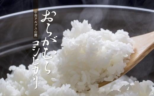 【予約受付】【令和７年米】【新米】長野県産　減農薬栽培(栽培期間中)コシヒカリ／玄米／10kg・20,000円／令和８年1月配送