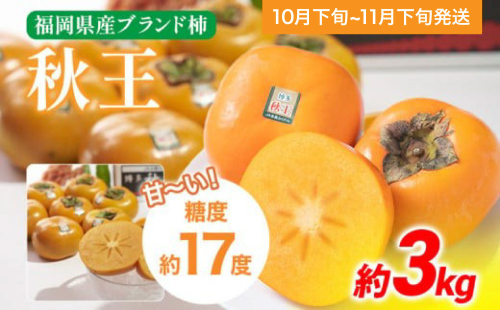 期間限定 福岡県産ブランド柿「秋王」 約3kg（8-12玉）返礼品 お取り寄せグルメ お取り寄せ グルメ カキ かき 果物 フルーツ 南国フルーツ CO012