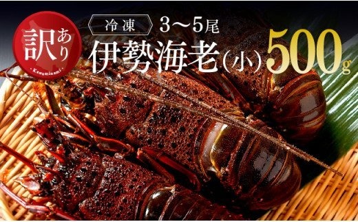 【訳あり】冷凍伊勢海老（小）500g　(3～5尾) 【 伊勢海老 イセエビ 訳あり 魚介 】 [C01705]