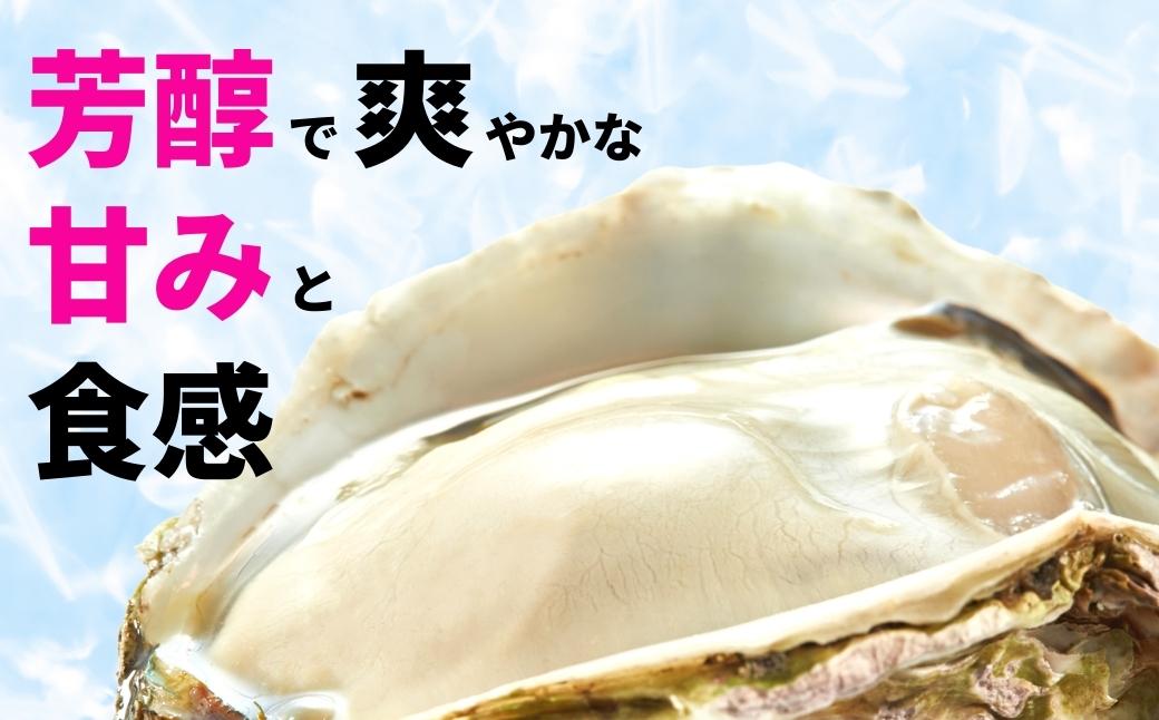【島のブランド岩牡蠣】岩牡蠣ざんまいセット 岩牡蠣 生食 岩牡蠣フライ グラタン ドリア 炊き込みご飯 グルメ詰め合わせ