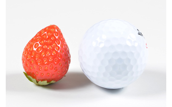 No.269 光姫（イチゴ）約600g〜約700g（2パック） ／ 苺 いちご 果物 大阪府