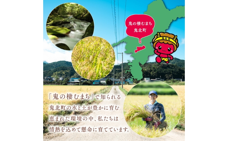 【R7年産】【自然環境米】鬼北のせせらぎ（コシヒカリ）5kg×2 ｜ お米 お米不足 お米品薄 おいしい お米 事業者支援 送料無料 白米 精米 国産 限定 ごはん ご飯 白飯 ゴハン 愛媛県産 鬼北