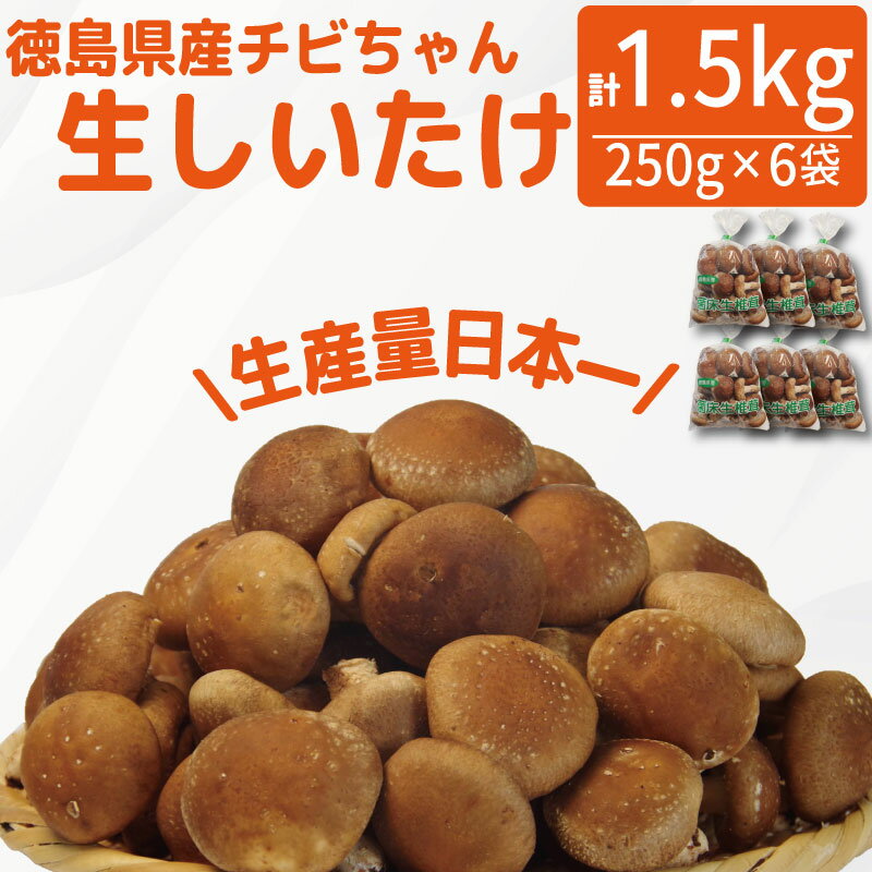 【ふるさと納税】 しいたけ 生 1.5kg 250g×6袋 徳島県産 国産 きのこ 茸 菌床椎茸 菌床栽培 菌糸 椎茸 生しいたけ 野菜 産地直送 ビタミンD 食物繊維 グアニル酸 低カロリー 健康 ダイエット 美容 出汁 鍋 煮物 味噌汁 うどん 徳島 小松島