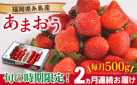 【先行予約】【全2回定期便】糸島産【冬】 あまおう 2パック 毎月計500g 【2025年12月上旬以降順次発送】 糸島市 / 南国フルーツ株式会社 [AIK025] いちごいちごいちごいちごいちごいちごいちごいちご