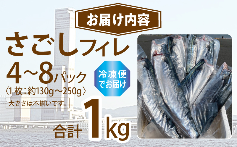 さごしフィレ 合計1kg以上 【小分け 切り身 海産 魚 お弁当 焼き魚 冷凍 惣菜 焼くだけ 訳あり サイズ不揃い】