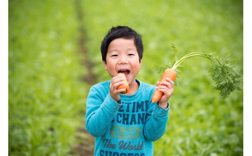 人参が苦手な方やお子様にも！