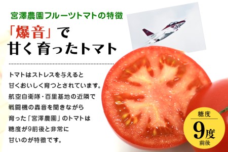 ＜2024年1月～出荷予定＞ 数量限定 先行予約 爆音トマトと呼ばれるフルーツトマト「百里百」 2kg 甘い 酸味 肉厚 大玉 産地直送 とまと 健康 リコピン 百里基地 戦闘機 国産 茨城県 小美玉