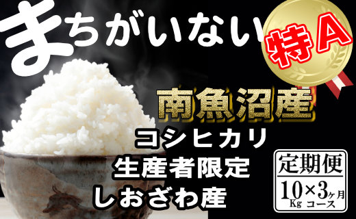 【令和7年産】【定期便】生産者限定 契約栽培　南魚沼しおざわ産コシヒカリ（10Kg×3ヶ月）【2025年10月上旬より順次発送予定】