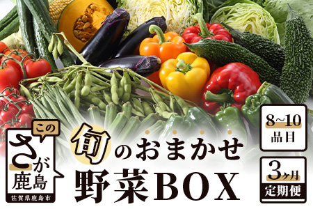  【３ヶ月定期便】旬のおまかせ 野菜BOX 野菜定期便 旬の野菜 詰め合わせ 野菜 新鮮 野菜8～10品目 C-47