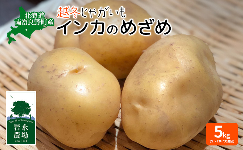 北海道 南富良野町 越冬じゃがいも「インカのめざめ」5kg(S