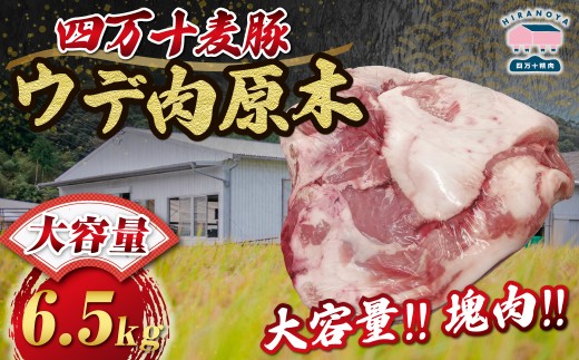 【期間限定】四万十麦豚 ウデ肉原木 約6.5kg／Ahc-A27 肉 豚肉 ブランド豚肉 原木肉 ブロック肉 ウデ 四万十町 冷凍 麦豚 とんかつ バーベキュー チャーシュー