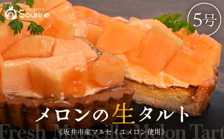 マルセイユメロンのフレッシュタルトケーキ 5号：直径15cm 850g 2026年6月中発送 スイーツ ケーキ お菓子 [A-5212]