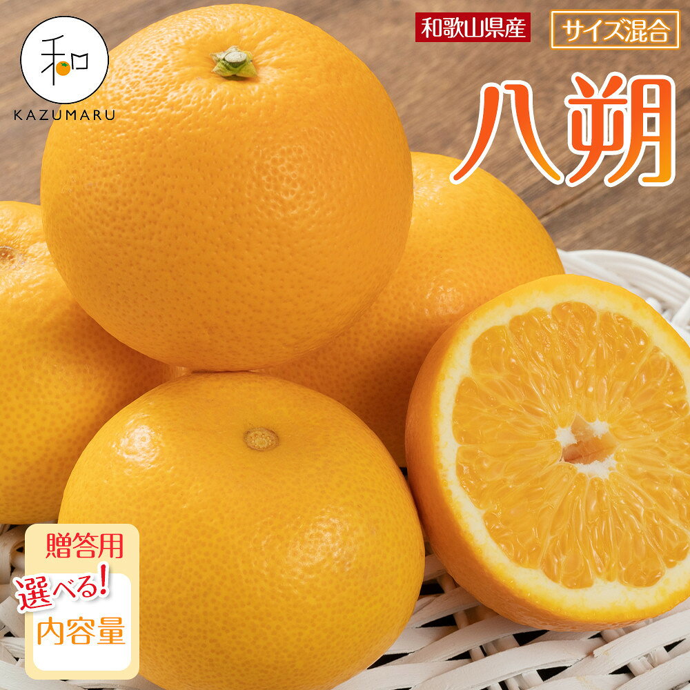 【ふるさと納税】【選べる容量】贈答用 森本農園の手選別 八朔 約2～10kg 和歌山県産 サイズ混合 ［北海道・沖縄・離島配送不可］［2026年1月中旬から2月中旬頃順次発送予定］ | みかん 蜜柑 フルーツ 果物 くだもの 食品 人気 おすすめ 送料無料