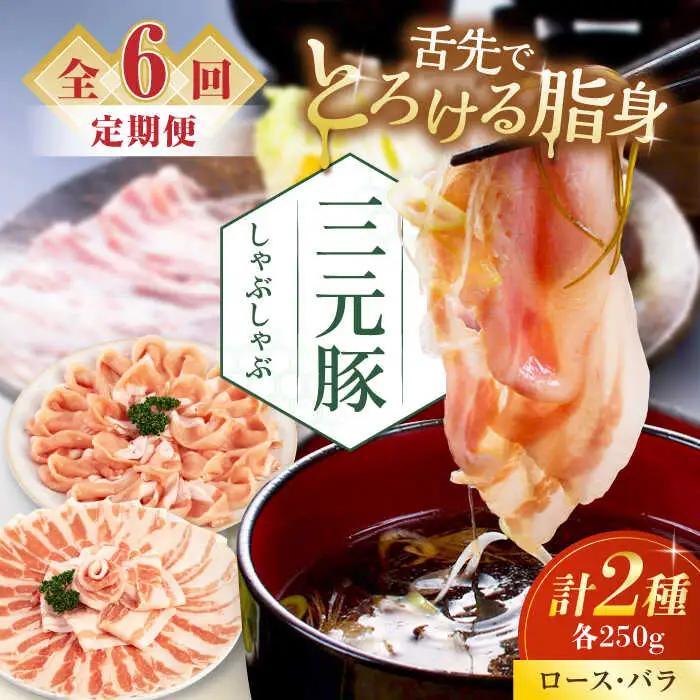 【全6回定期便】 しゃぶしゃぶ セット 500g しゃぶしゃぶ 定期便 AJAP080