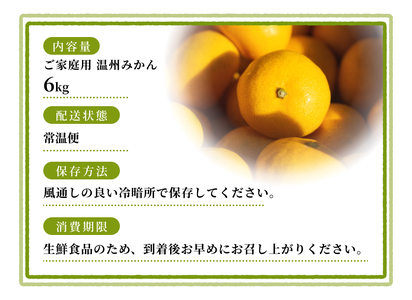 【家庭用】 森本農園の手選別 みかん 約6kg 和歌山県産 2S~2Lサイズ混合 【2025年11月上旬～2026年2月中旬ごろに順次発送】【RN30】【mrmt030】