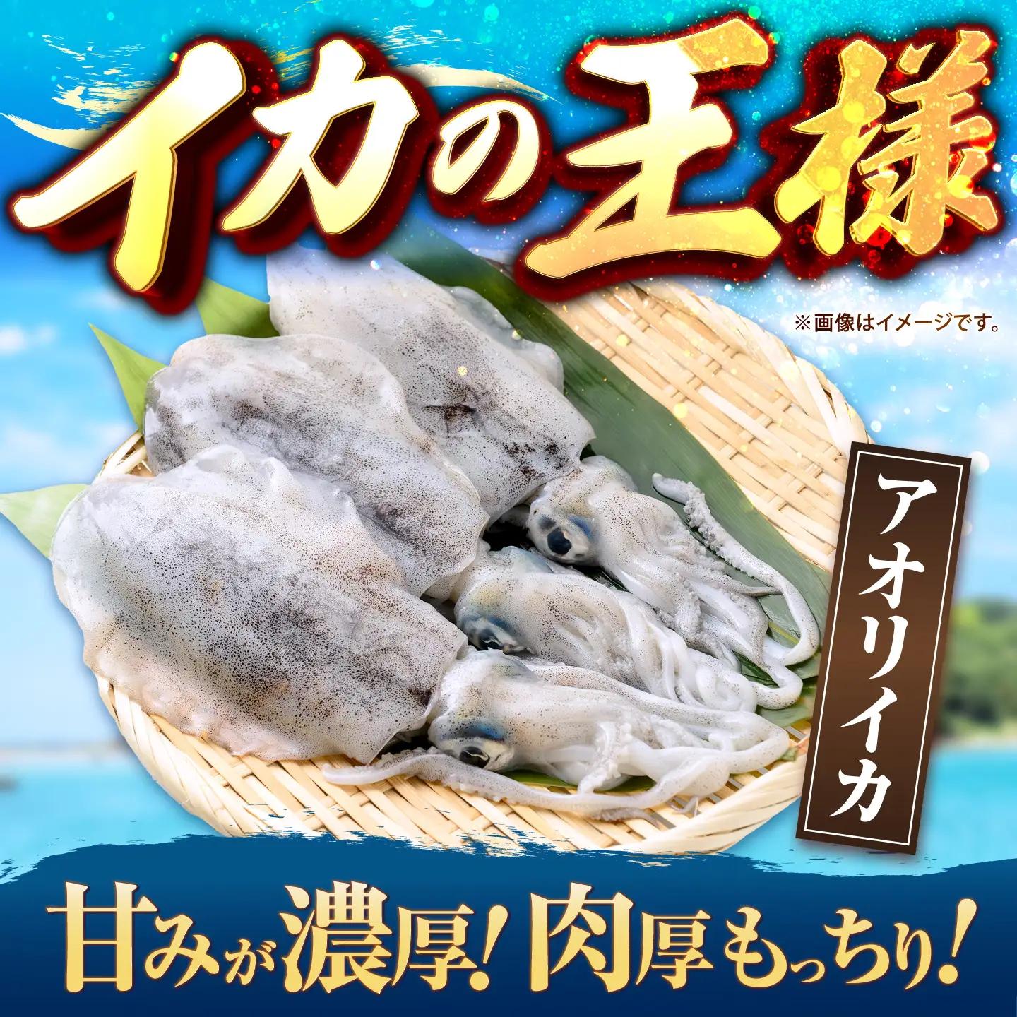 訳あり アオリイカ（刺身用） 300g [JCC027] イカ FN-Limited-PR