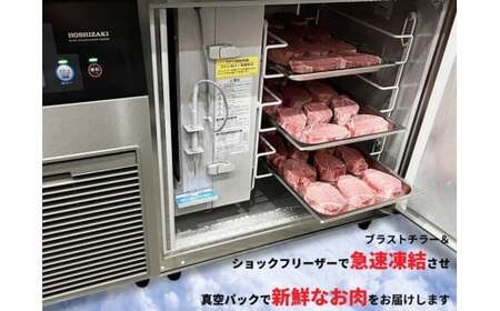 佐賀牛 ヒレ（180g×3枚）＆サイコロステーキ 400g【陶窯みかわや】最高級 A5 A4 黒毛和牛 厳選 ステーキ 940g ブランド牛 霜降り ステーキ 80000円 8万円 N80-2