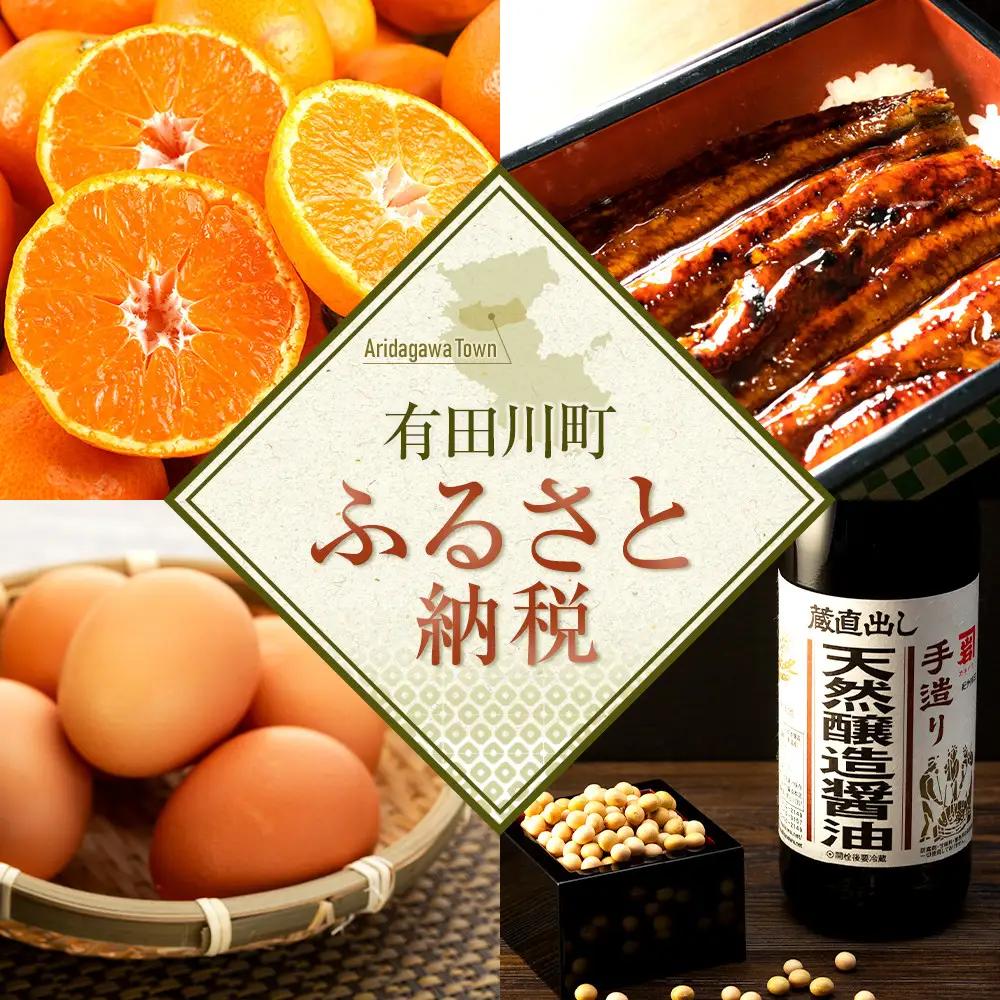 ［先行予約］和歌山県産 有田みかん 大玉 大粒 5kg 2L～3L