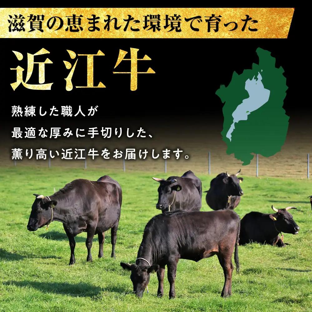 近江牛ヒレステーキ 750g（4～5枚）