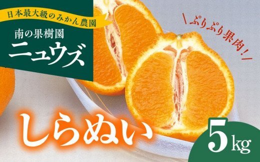 【先行予約受付中】産地直送！愛媛県産しらぬい（不知火） 5kg ※2025年2月下旬～3月下旬頃に順次発送予定 ≪柑橘 みかん ギフト≫