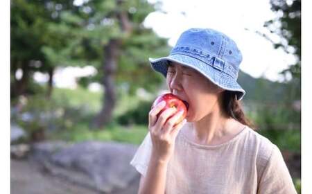 【100箱限定】 10月から発送 米崎りんご 2品種以上食べ比べBOX 10kg りんご