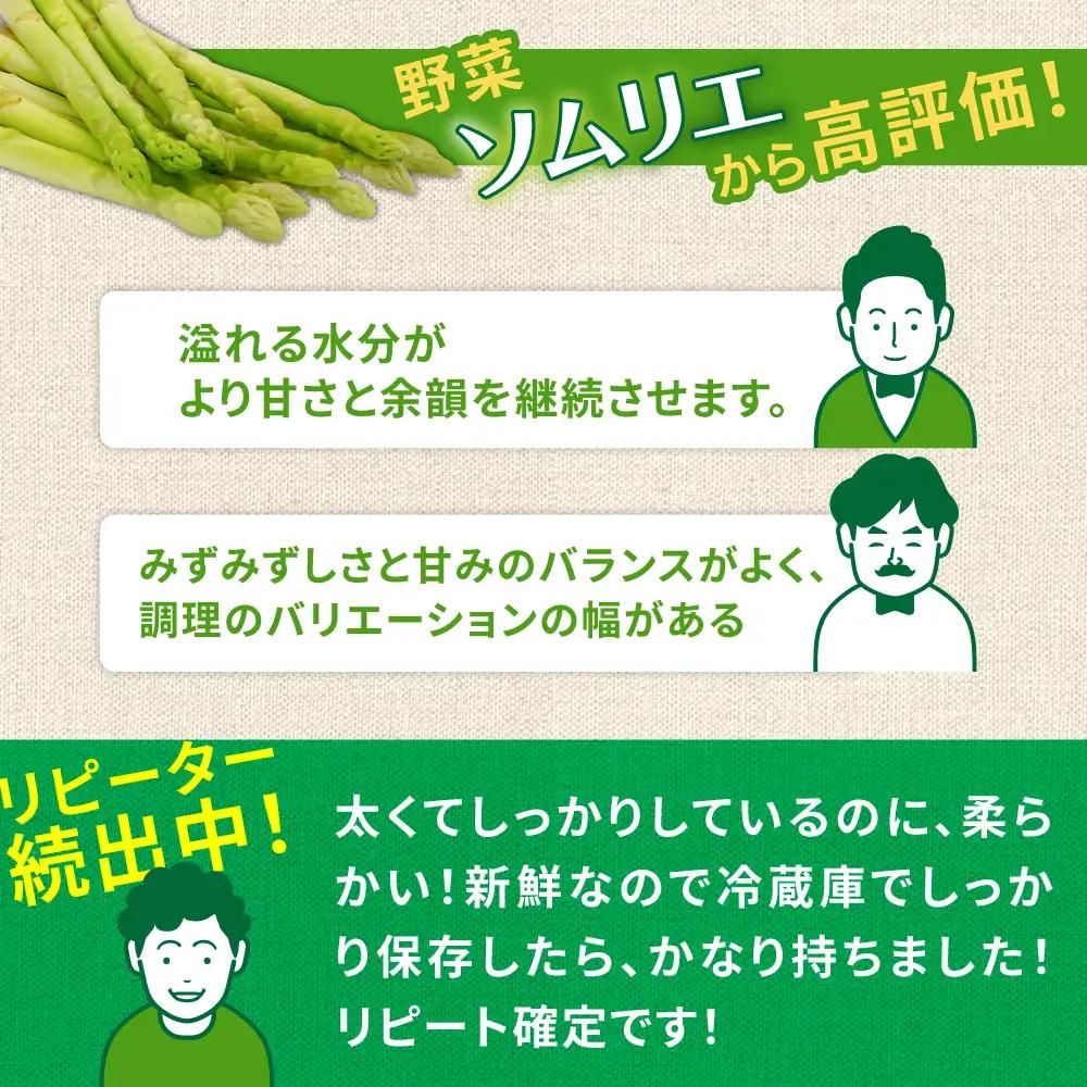 【訳あり】【星のアスパラ】グリーンアスパラガス 約1kg 【サイズ不揃い L-S】 / 訳アリ 規格外 産地直送 アスパラ あすぱら あすぱらがす 採れたて 新鮮 旬 産地直送 / 南島原市 / ほし