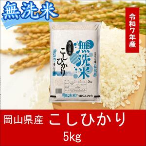 無洗米　こしひかり　5kg　令和7年産　岡山県産　米　【最短２〜７営業日出荷】　上-12