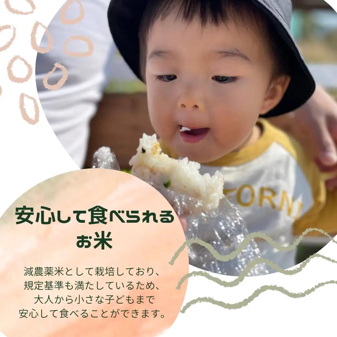  【6回定期便】減農薬 特別栽培米 畑中さん ひのひかり 玄米 5kg ヒノヒカリ 奈良県