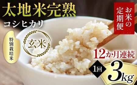 お米の定期便 特別栽培米 太地米完熟 【こしひかり】 玄米3kg×12か月連続 ブランド米 お米 人気 F7X-0379