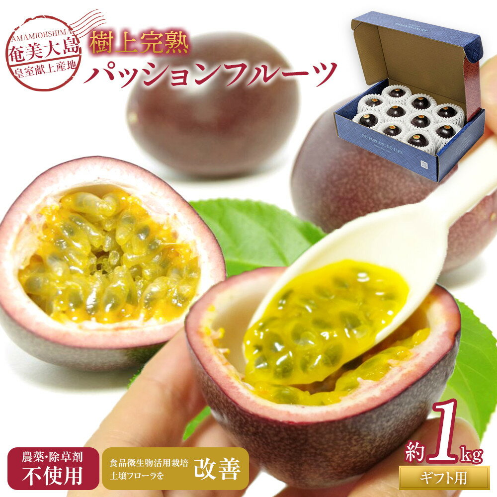 【ふるさと納税】先行受付【農薬・除草剤不使用】奄美大島農家直送　樹上完熟パッションフルーツ約1kg | パッションフルーツ 果物 化粧箱 南国フルーツ 季節限定 ジューシー フレッシュ 果実 詰合せ 鹿児島県 奄美大島