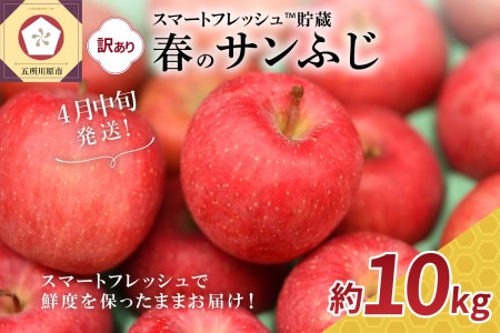 【2026年4月中旬発送】【訳あり】 りんご 10kg 春のサンふじ スマートフレッシュTM貯蔵またはCA貯蔵