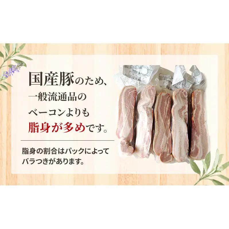 定期便 全3回 無添加豚ウインナー・白ソーセージ 計2.22kg
