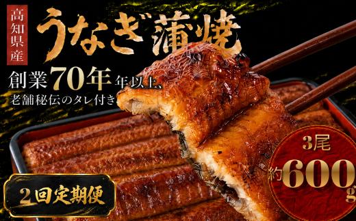 【2回 定期便】  高知県産 うなぎ 蒲焼 3尾 | 国産 日本産 うな重 うな丼 鰻 ウナギ 有頭 蒲焼き かばやき 土用丑の日 土用の丑の日 丑の日 魚 魚介 魚貝 海鮮 高級 贅沢 特別 老舗 初音 釜めし初音 鰻蒲焼 タレ付き タレ 贈答 お取り寄せ 冷凍 うな重 ギフト 贈り物 お祝い プレゼント ご褒美 人気 おすすめ 湯煎 簡単 調理 おかず お手軽 ご当地 グルメ 高知県 南国市