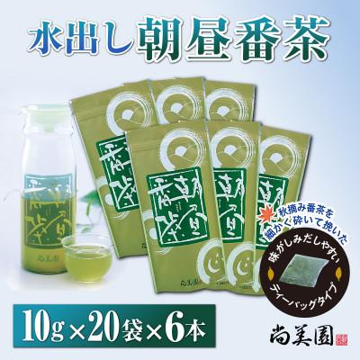 ふるさと納税 宇治田原町 宇治・水出し朝昼番茶ティーバッグ　10g×20個入×6袋　クールサーバー付