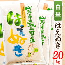 【ふるさと納税】【令和6年産】【白米】山形県産はえぬき20kg