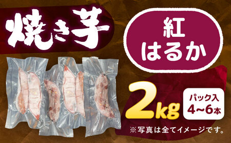 選べる品種/ 焼き芋 紅はるか 2kg (4～6本) さつまいも 焼きいも おやつ 愛西市 / 就労継続B型事業所ヤシの木[AEDG004]