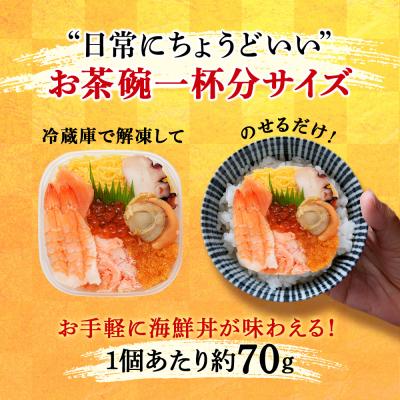 ふるさと納税 千歳市 海鮮丼 具 70g×8 7種 8個セット 魚介類 海の幸 七福丼【北海道】【札幌バルナバフーズ】 |  | 01