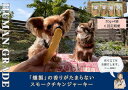 【ふるさと納税】犬の無添加おやつ☆燻製の香りがたまらないスモークチキンジャーキー【6回定期便】（FB151）