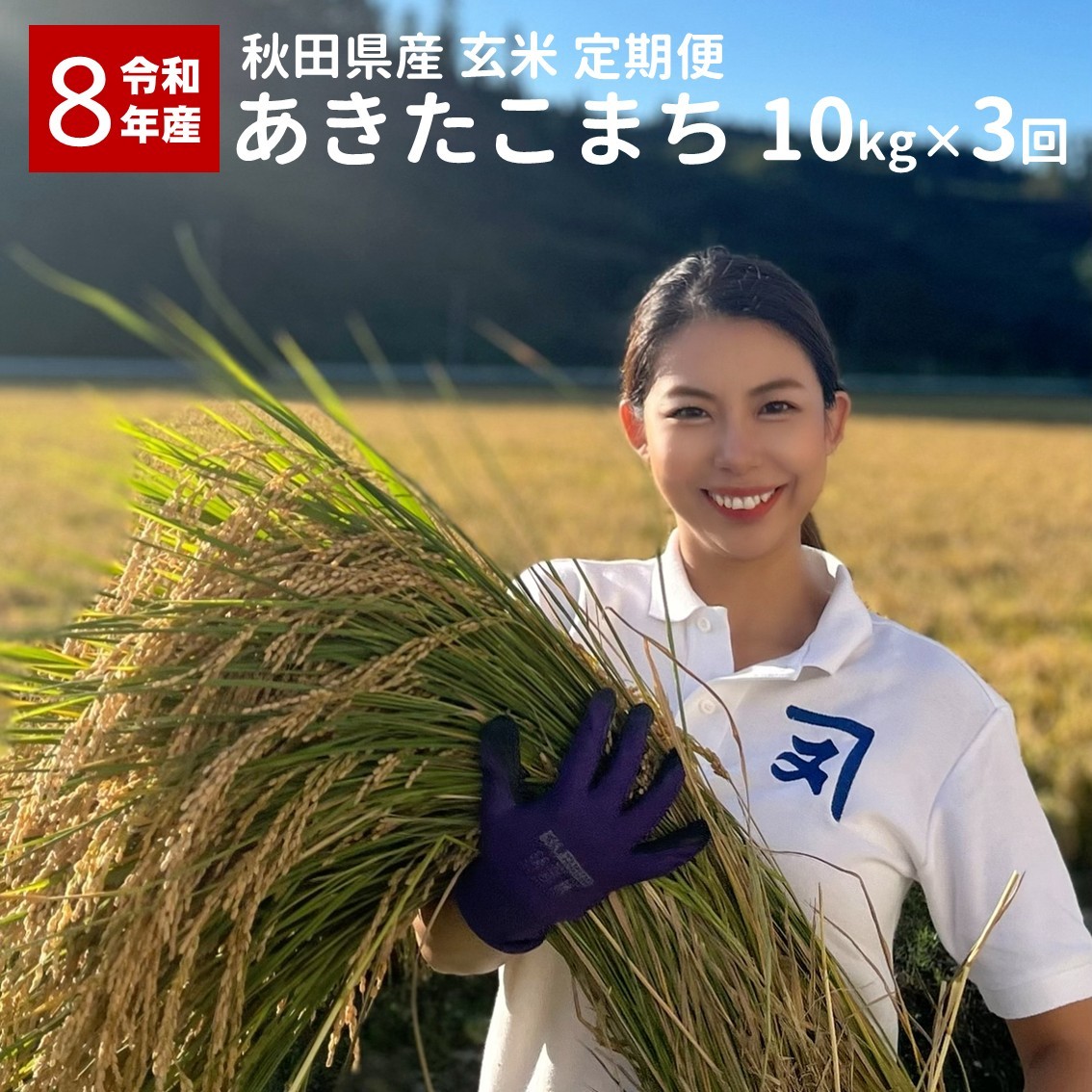 
                  《定期便3ヶ月》令和8年産 秋田県産 あきたこまち 10kg 玄米 お米 米 国産 ご飯 秋田【(株)鈴木又五郎商店】[O2303]
                