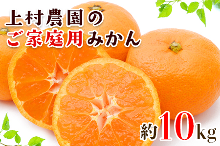 『上村農園』のご家庭用外成りみかん 約10kg(2S-2Lサイズ)《12月上旬-12月末頃出荷》予約受付中 フルーツ 秋 旬【ご家庭用】熊本県玉名郡玉東町 こだわりの手作り肥料で育つ安心・安全『上村農園』みかん ちょこっと訳あり